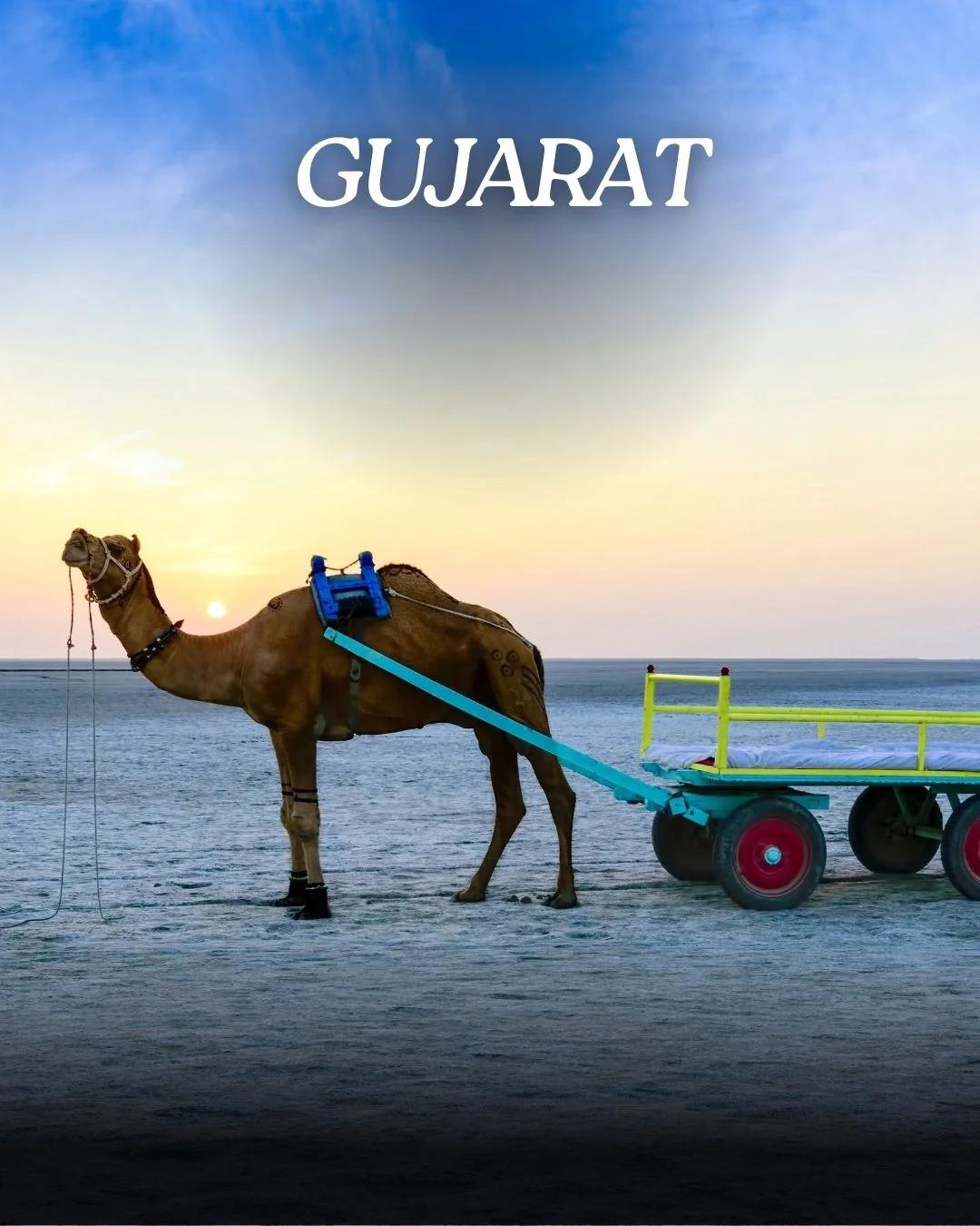 Gujarat tours packages starting from 9000